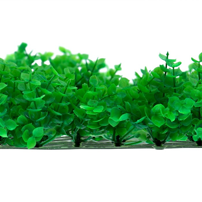 Декоративная панель, 60 × 40 см, «Самшит», Greengo Декоративная панель, 60 × 40 см, «Самшит», Greengo