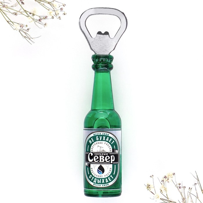 Магнит-открывашка &laquo;Север&raquo;, 2 в 1, 4,3 х 14 х 4,3