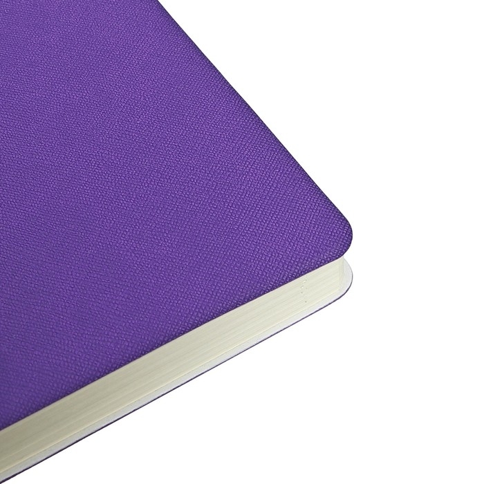 Ежедневник датированный 2024 A5 176 листов, deVENTE.Nobile, мягкая обложка из искусственной кожи, ляссе, кремовый блок 70 г/м2, фиолетовый