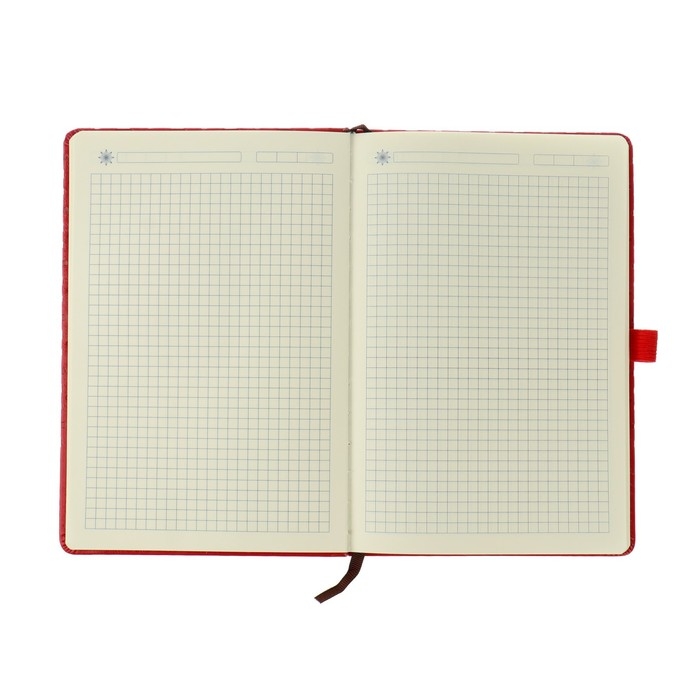 Ежедневник недатированный А5, 100 листов в клетку, на резинке, обложка кожзам, МИКС