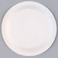 Тарелка бумажная &laquo;Голография&raquo;, в наборе 6 шт., цвет серебро