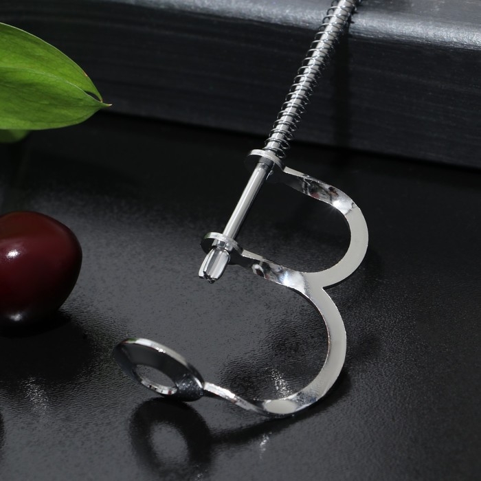 Удалитель косточек Доляна «Любитель», 12,5 см, цвет серебряный Удалитель косточек Доляна «Любитель», 12,5 см, цвет серебряный