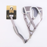 Комплект амуниции с мягкой шлейкой, M, поводок 120 х 1,5 см, ОШ 26-48 см, ОГ 26-48 см, серый Комплект амуниции с мягкой шлейкой, M, поводок 120 х 1,5 см, ОШ 26-48 см, ОГ 26-48 см, серый