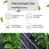 Материал для ландшафтных работ, 10 &times; 0,8 м, плотность 120 г/м&sup2;, спанбонд с УФ-стабилизатором, чёрный, Greengo, Эконом 30%