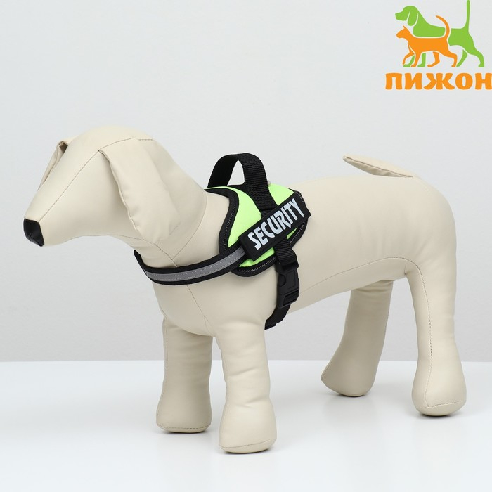 Шлейка К9 мягкая светоотражающая, размер ХS, ОГ 38-50 см, вес 3-6 кг, зелёная Шлейка К9 мягкая светоотражающая, размер ХS, ОГ 38-50 см, вес 3-6 кг, зелёная