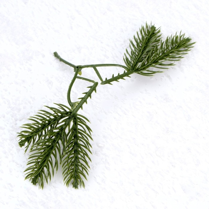 Декор &laquo;Веточка ели&raquo;, набор 10 шт., размер 1 шт. &mdash; 8 &times; 8 &times; 2 см