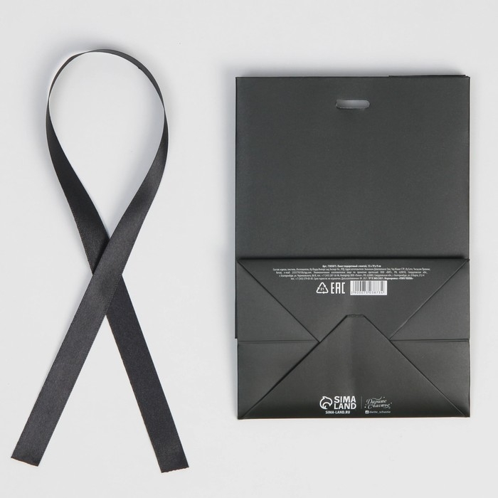 Пакет подарочный с лентой, упаковка, &laquo;Чёрный&raquo;, 13 х 19 х 9 см