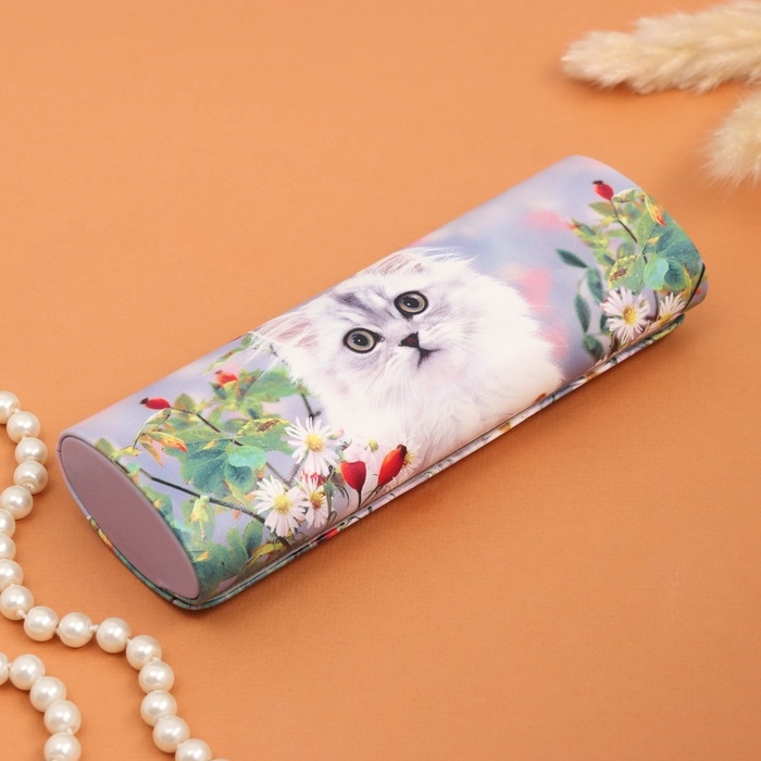 Очечник Очечник "Котёнок", 17х7 см