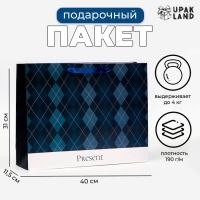 Пакет ламинированный горизонтальный &laquo;Клетка&raquo;, 40 х 31 х 11,5 см