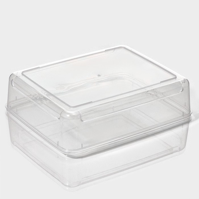 Контейнер для хранения яиц Доляна, 20 ячеек, 27,5×22×7 см, цвет МИКС Контейнер для хранения яиц Доляна, 20 ячеек, 27,5×22×7 см, цвет МИКС