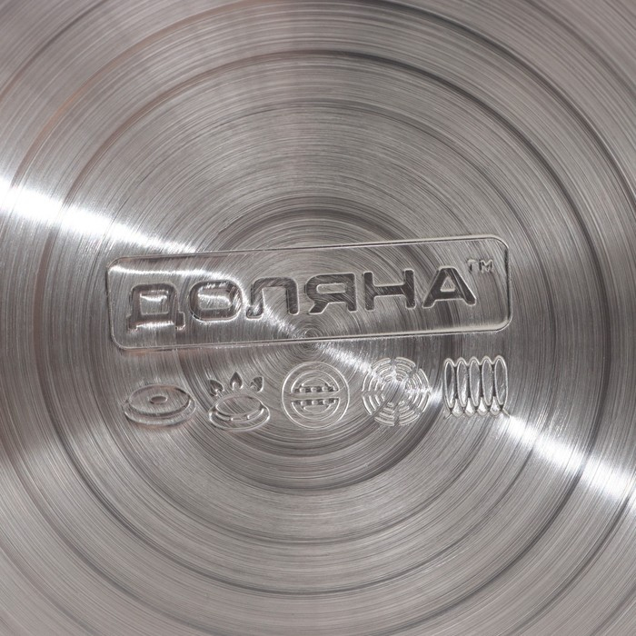 Чайник со свистком из нержавеющей стали Доляна &laquo;Рио&raquo;, 2,8 л, фиксированная ручка, цвет зелёный