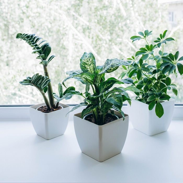 Кашпо для цветов, 13 &times; 13 см, 1,5 л, пластик, белое