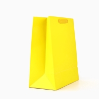 Пакет ламинированный вертикальный &laquo;С Днём рождения&raquo;, глиттер, ML 23 х 27 х 11.5 см