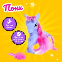 Пони «Красотка» с аксессуарами, цвета МИКС Пони «Красотка» с аксессуарами, цвета МИКС