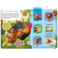 Книжка с окошками &laquo;Ферма&raquo;