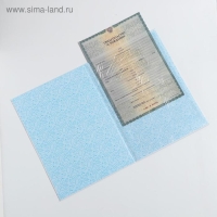 Папка для свидетельства о рождении для мальчика &laquo;Кошечка&raquo;, А4