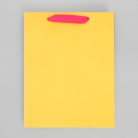 Пакет подарочный трёхцветный, упаковка, &laquo;Жёлтый-розовый-голубой&raquo;, MS 18 х 23 х 10 см