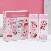 Подарочный набор косметики &laquo;Расцветай!&raquo;, гель для душа и пена для ванны, 2 х 250 мл, ЧИСТОЕ СЧАСТЬЕ