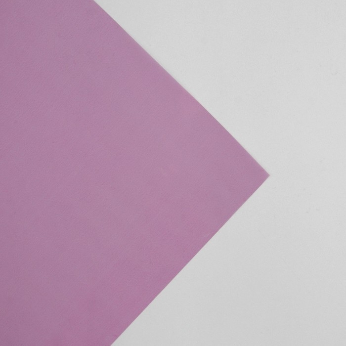 Плёнка для цветов упаковочная глянцевая прозрачная &laquo;Сиреневая&raquo;, 0.6 x 10 м