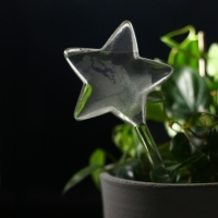 Автополив для комнатных растений, ПВХ, &laquo;Звезда&raquo;, 100 мл, Greengo