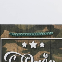 Пакет подарочный ламинированный вертикальный, упаковка, &laquo;С Днём Защитника Отечества, 23 февраля&raquo;, ML 27 х 23 х 11.5 см