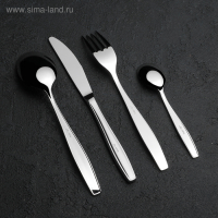 Набор столовых приборов «Комет», 24 предмета, толщина 2,5 мм, декоративная коробка, цвет серебряный Набор столовых приборов «Комет», 24 предмета, толщина 2,5 мм, декоративная коробка, цвет серебряный