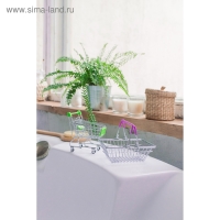 Корзина для мелочей Доляна, 12,5&times;8&times;11 см, цвет МИКС