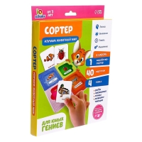 Сортер &laquo;Изучаем животный мир&raquo; с карточками Домана