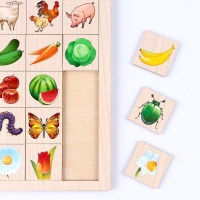 Ассоциация &laquo;Флора и фауна&raquo;