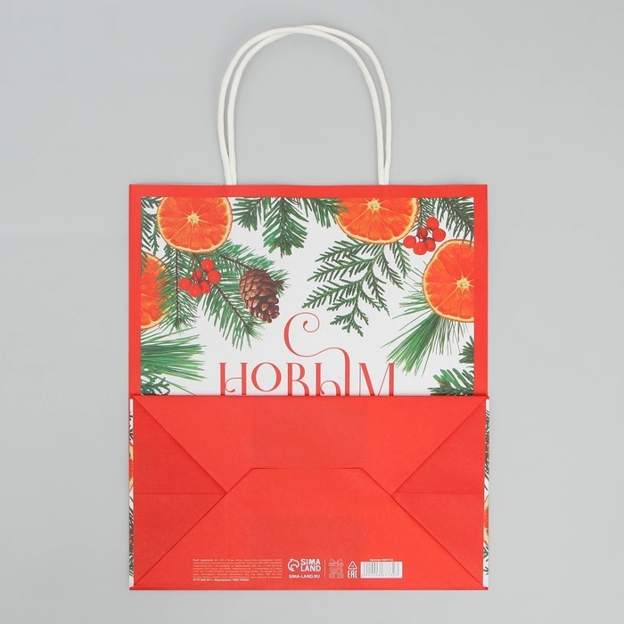 Пакет подарочный новогодний крафтовый «Новогоднее чудо», 22 х 25 х 12 см, Новый год Пакет подарочный новогодний крафтовый «Новогоднее чудо», 22 х 25 х 12 см, Новый год