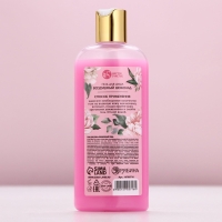 Гель для душа ЧИСТОЕ СЧАСТЬЕ &laquo;Самой нежной&raquo;, 250 мл, аромат воздушного шоколада