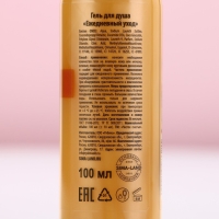 Гель для душа, 100 мл, аромат пряный эль, Новый Год Гель для душа, 100 мл, аромат пряный эль, Новый Год