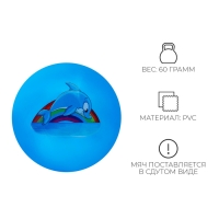 Мяч детский ZABIAKA «Дельфинчик», d=22 см Мяч детский ZABIAKA «Дельфинчик», d=22 см