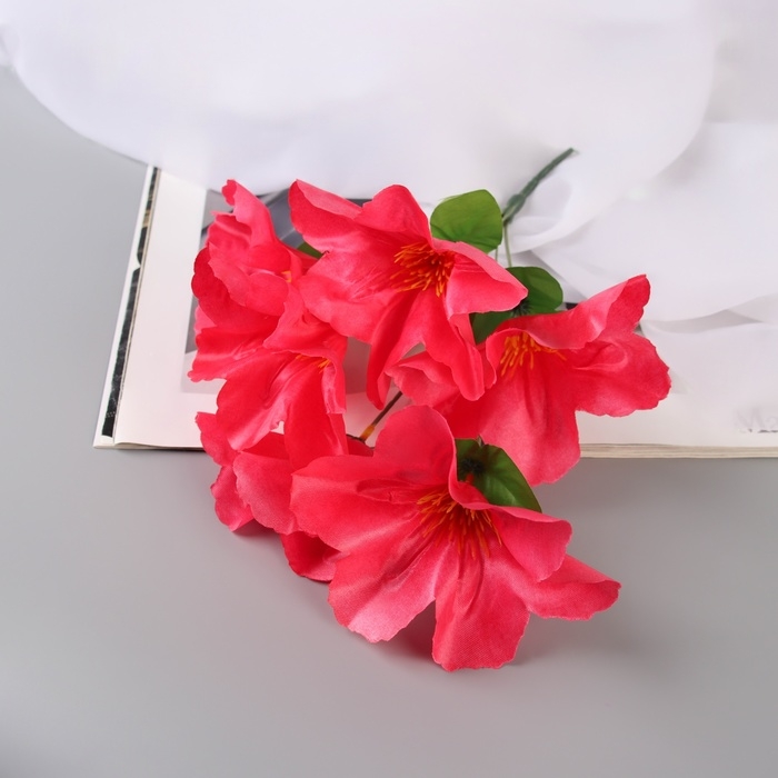 Букет "Адениум экстра галант" d-14 см 30 см, микс