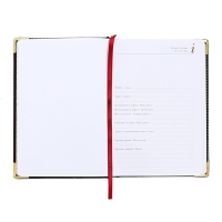 Ежедневник недатированный А5+, 136 листов Sidney Nebraska, твёрдая обложка, искусственная кожа, золотой срез, золотые уголки, чёрный