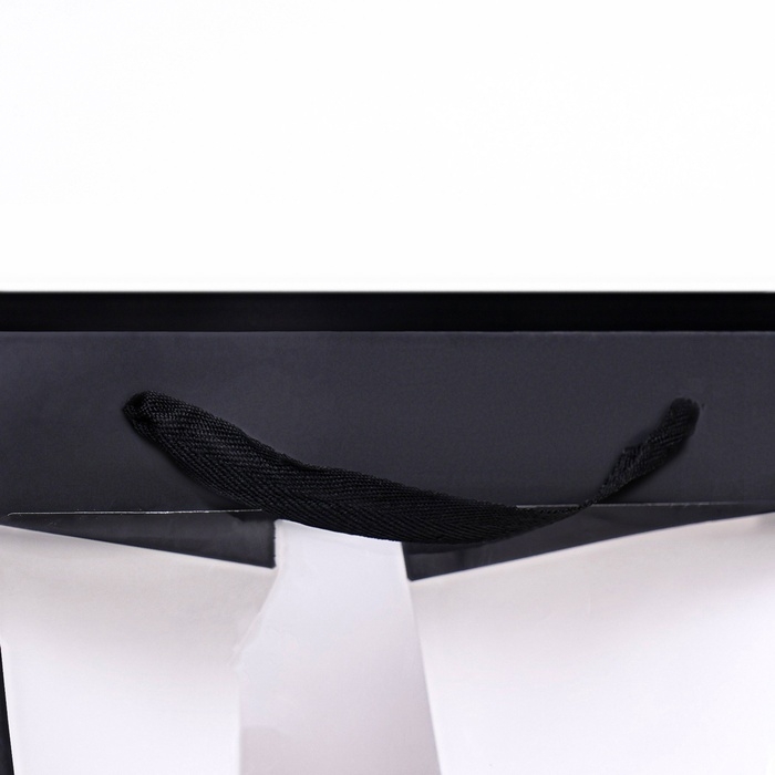 Пакет подарочный, крафт, с окном, &laquo;Черный&raquo;, 30 х 30 х 30 см