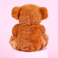 Мягкая игрушка &laquo;Любимая мамочка&raquo;, 25 см, МИКС