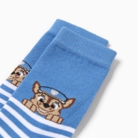 Носки PAW PATROL «Гончик», цвет синий, 14-16 см Носки PAW PATROL «Гончик», цвет синий, 14-16 см