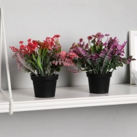 Бонсай в горшке "Скабиоза" 7х14 см, микс Бонсай в горшке "Скабиоза" 7х14 см, микс