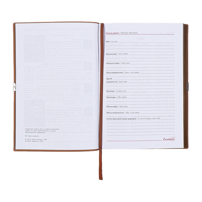 Ежедневник датированный 2025 года, А5, 176 листов ESCALADA, мягкая обложка из искусственной кожи, блинтовое тиснение, ляссе, блок 70 г/м2, бежевый