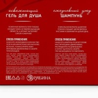 Подарочный набор косметики, гель для душа 250 мл и шампунь 250 мл, аромат ирландского виски, HARD LINE