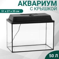 Аквариум "Прямоугольный" с крышкой, 50 литров, 51 х 27 х 35 см, чёрный Аквариум "Прямоугольный" с крышкой, 50 литров, 51 х 27 х 35 см, чёрный