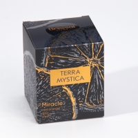 Ароматическая свеча "Breesal, TERRA MYSTICA", Апельсин, Груша, Ягоды Ароматическая свеча "Breesal, TERRA MYSTICA", Апельсин, Груша, Ягоды