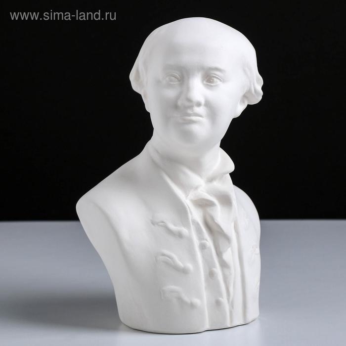Гипсовая фигура известные люди: Бюст Ломоносова, 14,5 х 11 х 21,5 см
