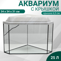 Аквариум "Дельта" угловой с крышкой, 25 литров, 34 х 34 х 31/37,5 см, беленый дуб Аквариум "Дельта" угловой с крышкой, 25 литров, 34 х 34 х 31/37,5 см, беленый дуб