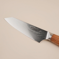 Нож кухонный SL Home «Оливия», шеф, лезвие 16 см, дамасская сталь, цвет коричневый Нож кухонный SL Home «Оливия», шеф, лезвие 16 см, дамасская сталь, цвет коричневый