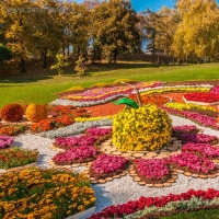 Щепа декоративная, красная 20л. Щепа декоративная, красная 20л.