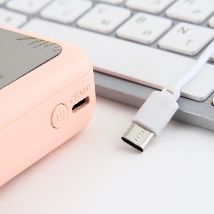 Зарядное устройство &laquo;Harmony&raquo;, 5000мА, мод. PB-02, 10,4 х 6,4 см