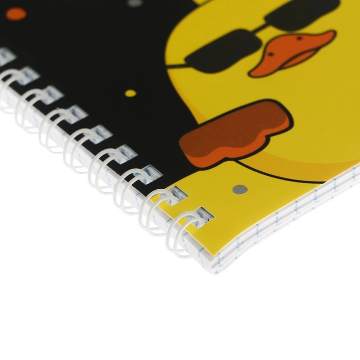 Тетрадь 48 листов в клетку на гребне Тетрадь 48 листов в клетку на гребне "Мы утята!", обложка мелованный картон, выборочный лак, скругленные углы, 4В, МИКС