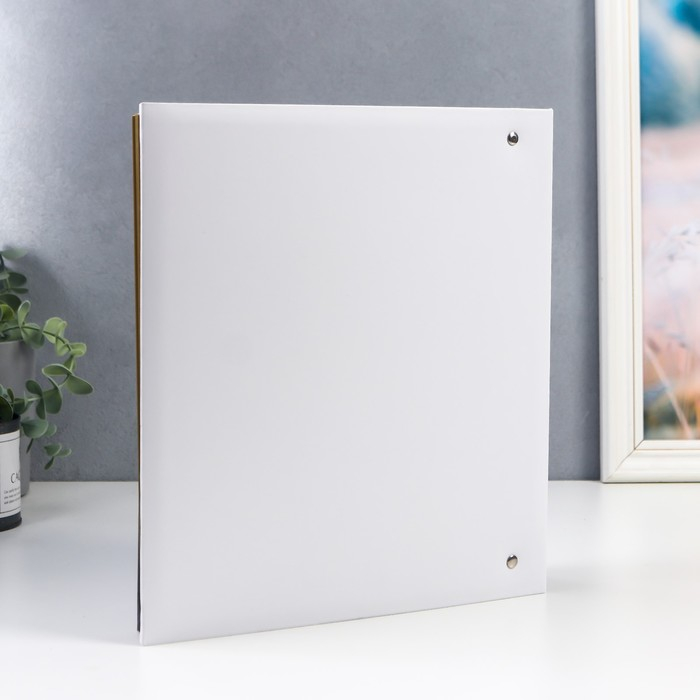 Фотоальбом 50 магнитных листов (100стр) "Веточка" 23х28 см